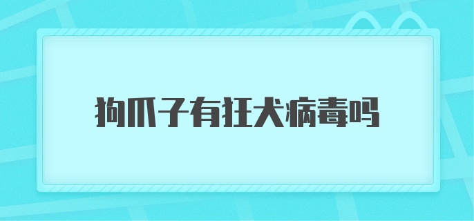 狗爪子有狂犬病毒吗