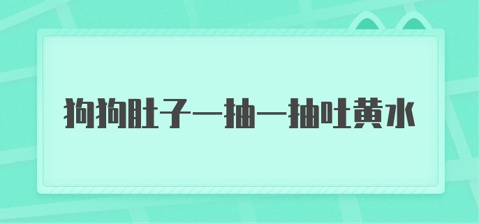 狗狗肚子一抽一抽吐黄水