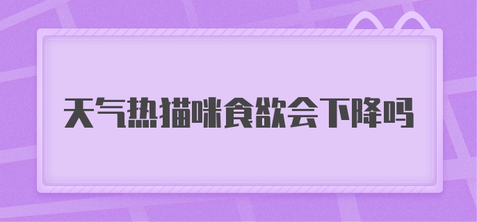 天气热猫咪食欲会下降吗