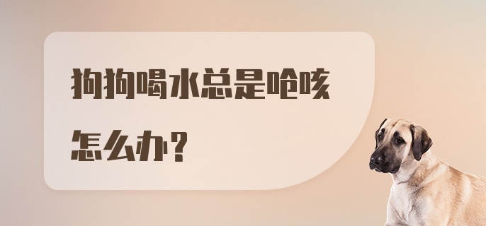 狗狗喝水总是呛咳怎么办？