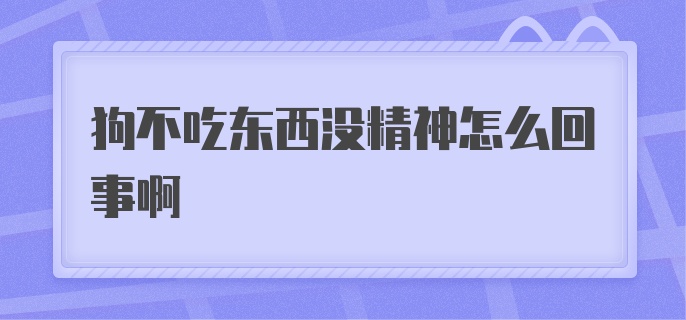 狗不吃东西没精神怎么回事啊