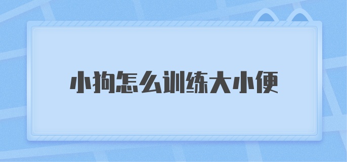 小狗怎么训练大小便