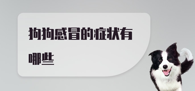 狗狗感冒的症状有哪些