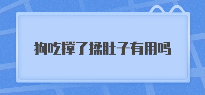 狗吃撑了揉肚子有用吗