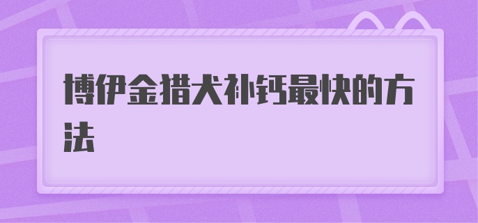 博伊金猎犬补钙最快的方法