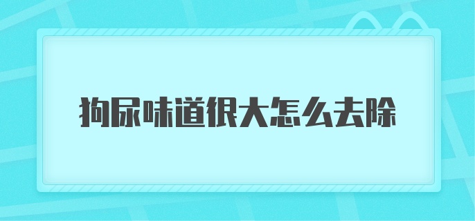 狗尿味道很大怎么去除