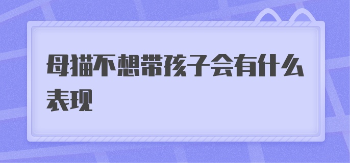 母猫不想带孩子会有什么表现