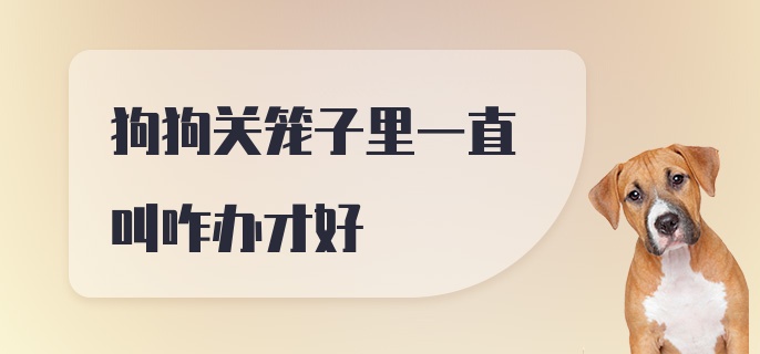 狗狗关笼子里一直叫咋办才好