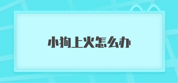 小狗上火怎么办？