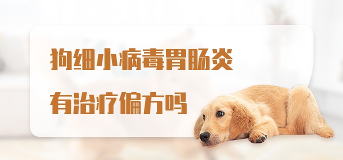 狗细小病毒胃肠炎有治疗偏方吗