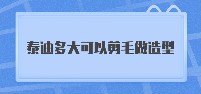 泰迪多大可以剪毛做造型