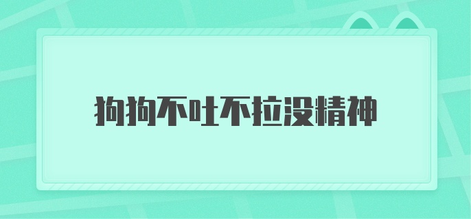 狗狗不吐不拉没精神