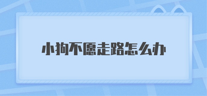 小狗不愿走路怎么办