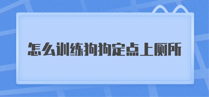 怎么训练狗狗定点上厕所