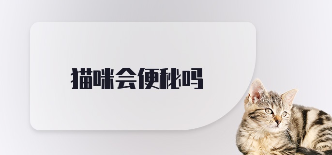 猫咪会便秘吗