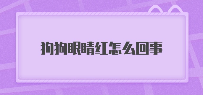 狗狗眼睛红怎么回事