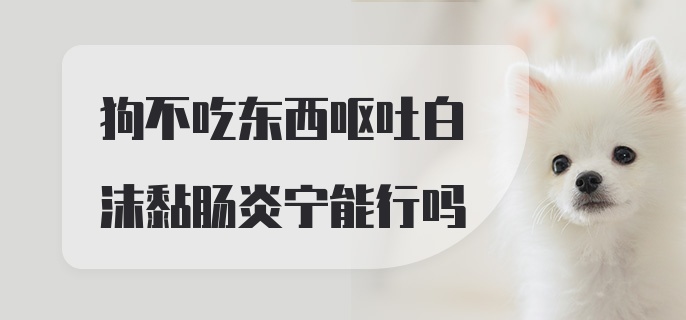 狗不吃东西呕吐白沫黏肠炎宁能行吗