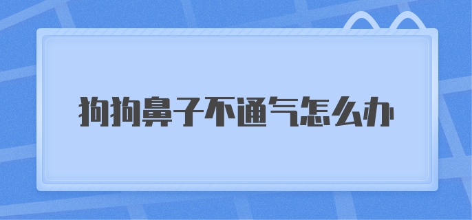 狗狗鼻子不通气怎么办