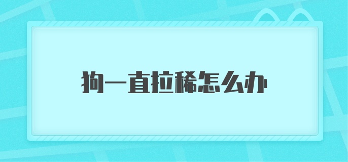 狗一直拉稀怎么办