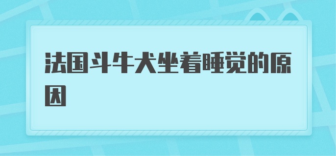 法国斗牛犬坐着睡觉的原因