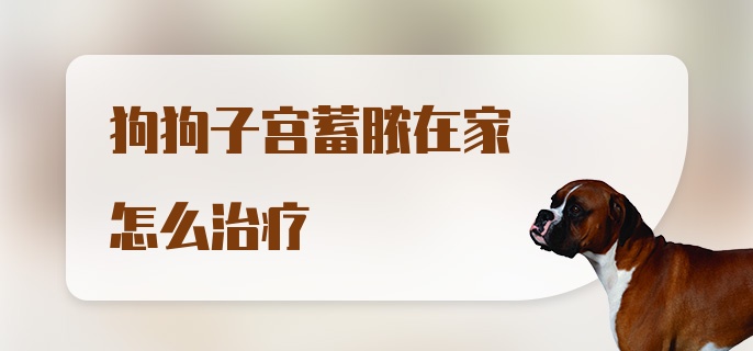 狗狗子宫蓄脓在家怎么治疗