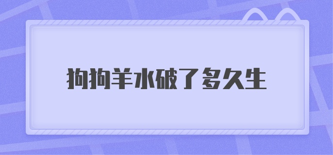 狗狗羊水破了多久生