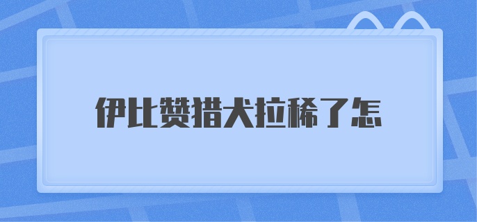 伊比赞猎犬拉稀了怎