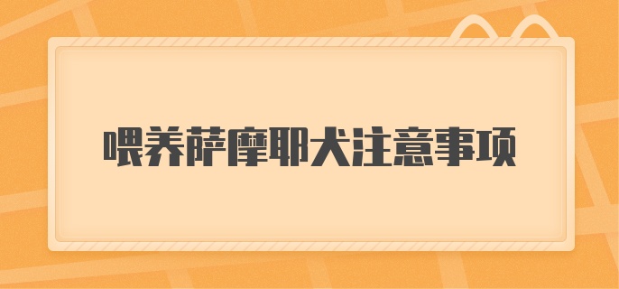 喂养萨摩耶犬注意事项