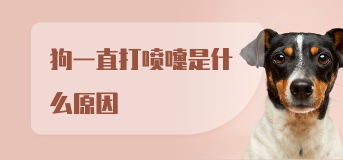 狗一直打喷嚏是什么原因