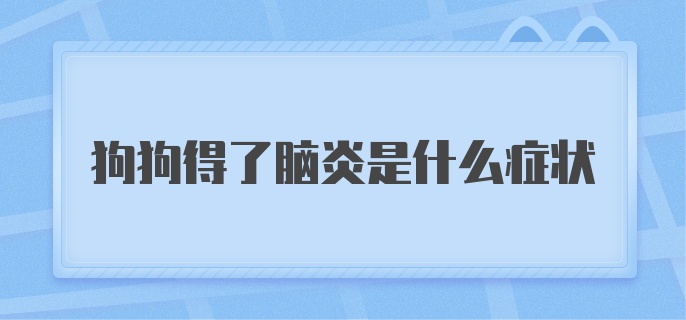 狗狗得了脑炎是什么症状