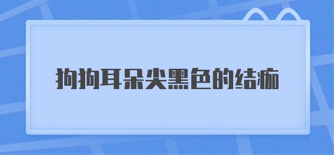 狗狗耳朵尖黑色的结痂