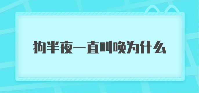 狗半夜一直叫唤为什么