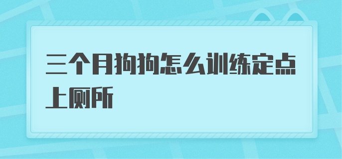 三个月狗狗怎么训练定点上厕所