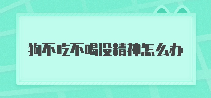 狗不吃不喝没精神怎么办