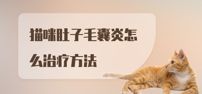 猫咪肚子毛囊炎怎么治疗方法