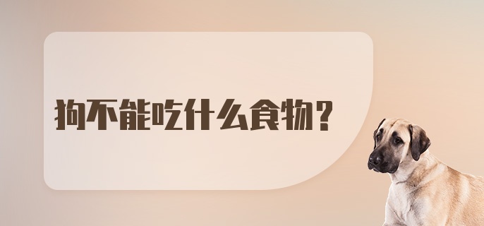 狗不能吃什么食物？