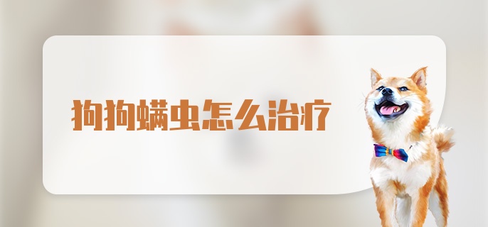 狗狗螨虫怎么治疗