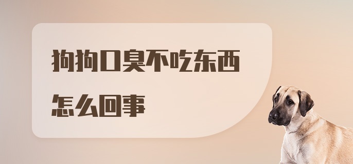 狗狗口臭不吃东西怎么回事