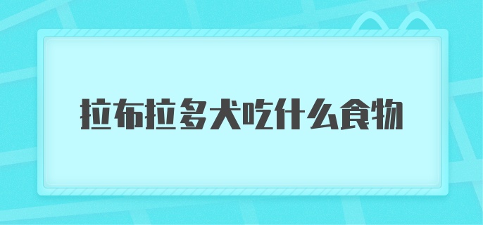 拉布拉多犬吃什么食物