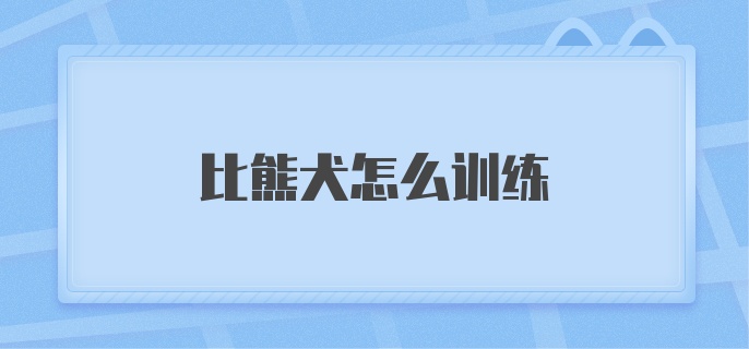 比熊犬怎么训练