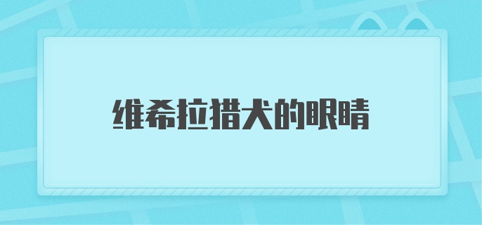 维希拉猎犬的眼睛