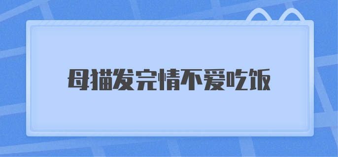 母猫发完情不爱吃饭