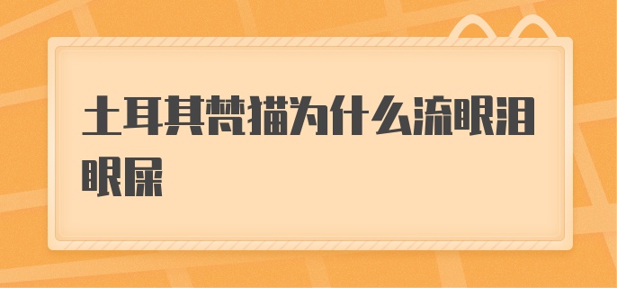 土耳其梵猫为什么流眼泪眼屎