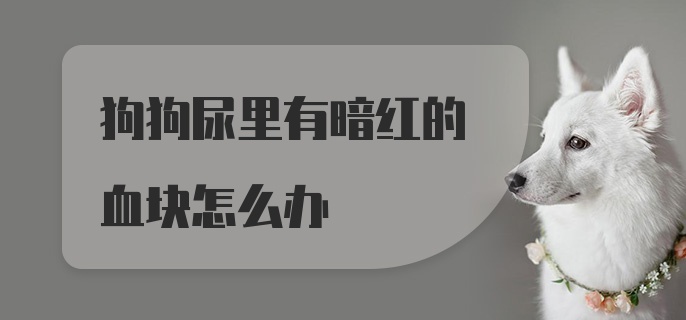 狗狗尿里有暗红的血块怎么办