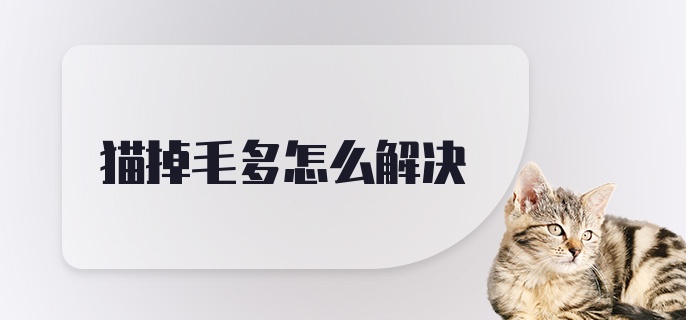 猫掉毛多怎么解决