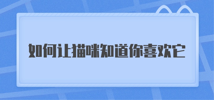 如何让猫咪知道你喜欢它