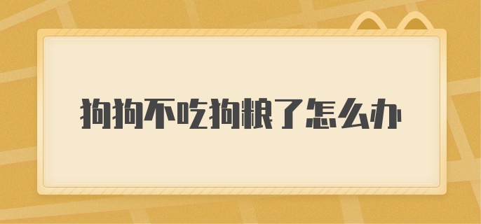 狗狗不吃狗粮了怎么办？