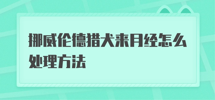 挪威伦德猎犬来月经怎么处理方法