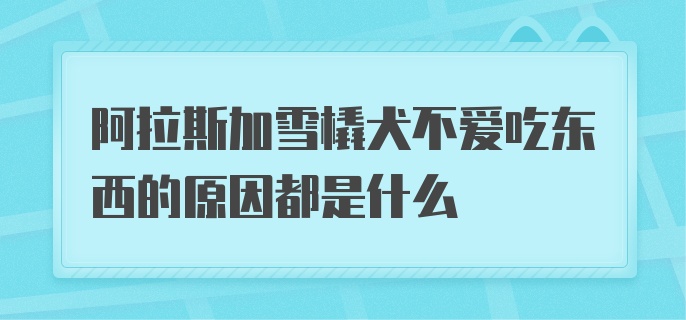 阿拉斯加雪橇犬不爱吃东西的原因都是什么