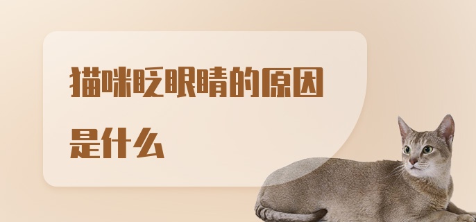 猫咪眨眼睛的原因是什么